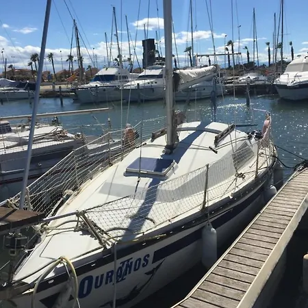 Petit Voilier A Quai Port Barcares